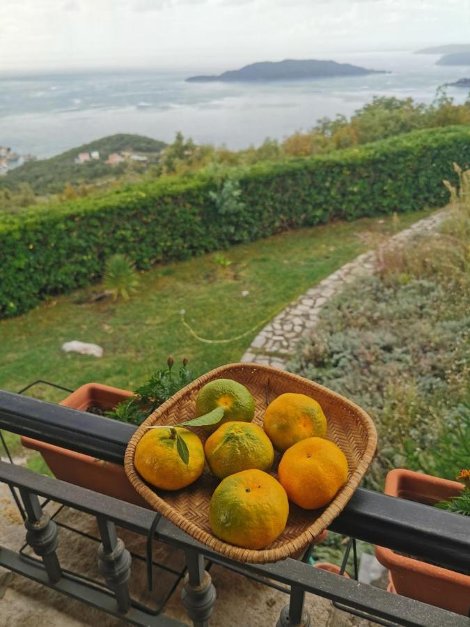 Lux Villa Provence 부드바 외부 사진